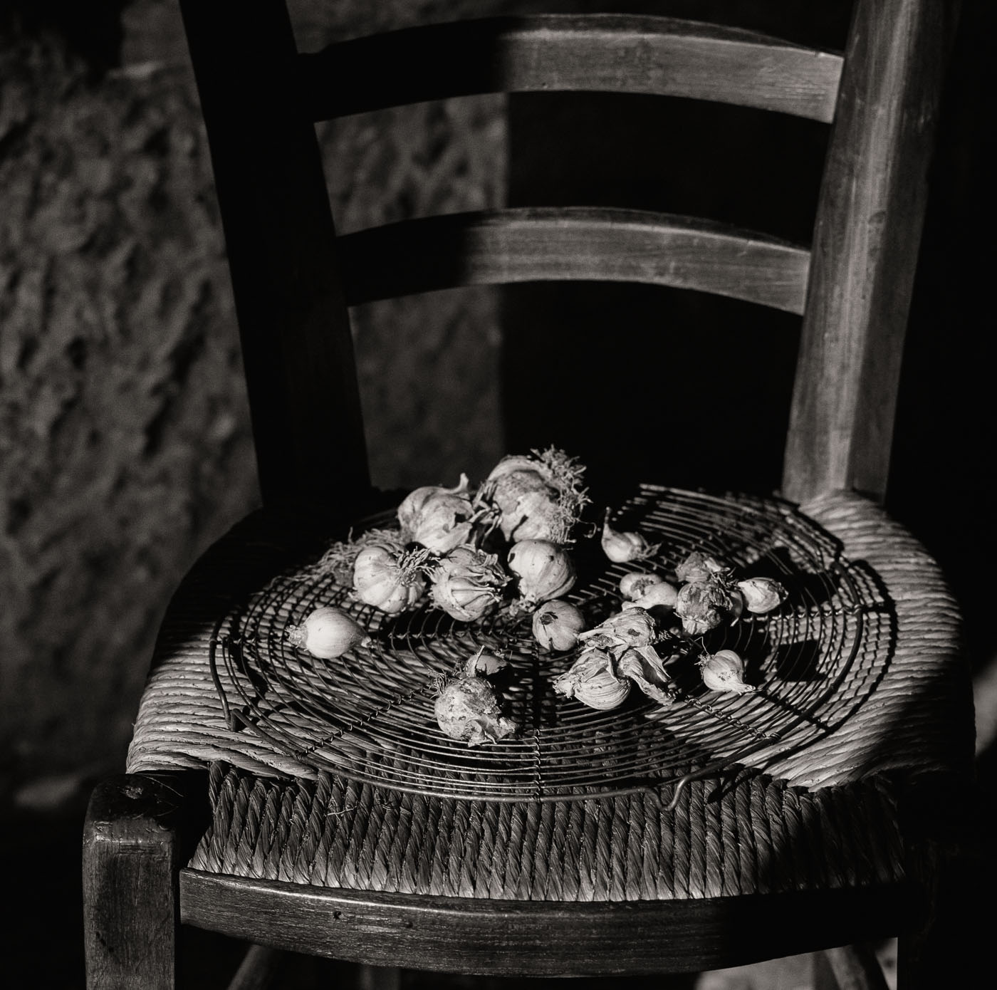 Kathi-littwin-photography-garlic-chair
